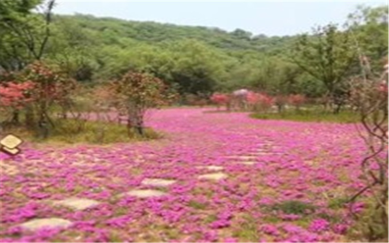 鎮江市國家級經濟技術開發區廢棄礦山地質環境治理示范工程